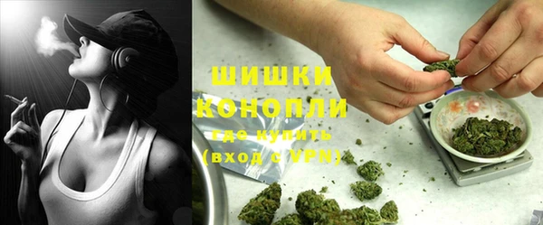 гидропоника Алзамай