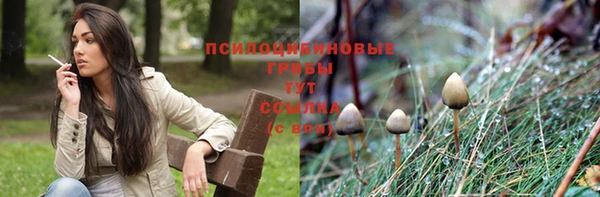 гидропоника Алзамай
